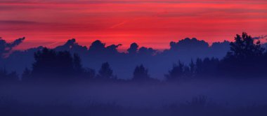 Gün doğumunda sisli bir kır arazisi. Arka planda ağaç siluetleri var. Saf altın sabah güneşi. Destansı kızıl bulutlar. Idyllic kırsal kesim. Sanat, masal, resim, tek boynuzlu at renkleri