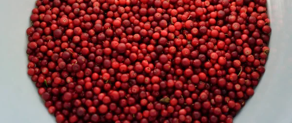 Nahaufnahme Von Roten Waldbeeren Preiselbeeren Einem Eimer Abstraktes Natürliches Muster — Stockfoto