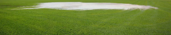 밭에서 뜯었습니다 자연적 파노라마 이미지 그래픽 리소스 — 스톡 사진