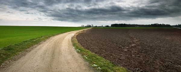 Špinavá Cesta Přes Zelenou Krajinu Zemědělské Orané Pole Při Západu — Stock fotografie