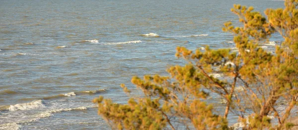 Aerial View Sandy Jurkalne Coast Stormy Sky Baltic Sea Pine — Fotografia de Stock