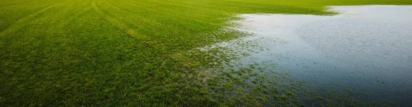 Green Plowed Agricultural Field Spring Flood Natural Texture Panoramic Image — Foto de Stock