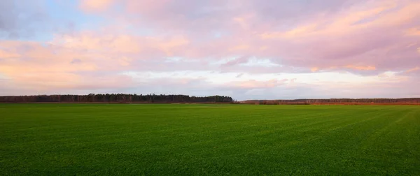 Una Vista Del Campo Verde Campo Arado Agrícola Con Tractor —  Fotos de Stock