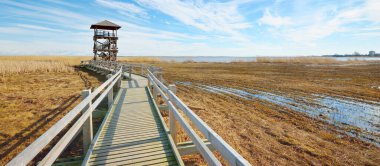 Hollanda 'nın güneşli bir bahar gününde, göldeki kuş izleme kulesine giden ahşap bir patika. Sığ su. Açık mavi gökyüzü ve sirrus bulutları. Çevre koruma teması