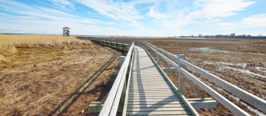 Hollanda 'nın güneşli bir bahar gününde, göldeki kuş izleme kulesine giden ahşap bir patika. Sığ su. Açık mavi gökyüzü ve sirrus bulutları. Çevre koruma teması