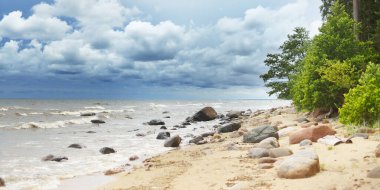 Kayalık Baltık deniz kıyısının panoramik manzarası, çam ormanı. Yaz. Riga Körfezi, Letonya. Dramatik gökyüzü, fırtına dalgaları. Hava kararsız. Tatiller, seyahatler, eko-turizm. Doğa, deniz manzarası