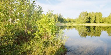 Yeşil huş ağacı ormanındaki gölün panoramik manzarası. Kumsal. Güneşli bir yaz günü. Açık mavi gökyüzü, suyun simetri yansımaları. Kırsal alan. Letonya, Avrupa. Doğa, ekoloji, eko-turizm