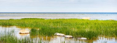 Güneşli bir günde Baltık Denizi 'nin kayalık kıyıları. Taşlar yakın plan. Arka planda yeşil bitkiler. Ruhnu Adası, Estonya. Yaz tatilleri, seyahat, çevre koruma teması