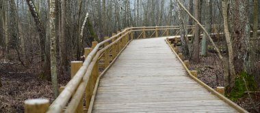 Sabah sisi içinde sulak arazide modern ahşap patika. Letonya 'da ilkbahar başı. Idyllic kırsal kesim. İskandinav yürüyüşü, dinlenme, eko turizm, çevre koruma kavramları