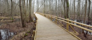 Sabah sisi içinde sulak arazide modern ahşap patika. Letonya 'da ilkbahar başı. Idyllic kırsal kesim. İskandinav yürüyüşü, dinlenme, eko turizm, çevre koruma kavramları
