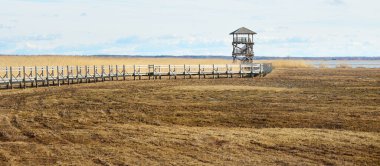 Hollanda 'nın güneşli bir bahar gününde, göldeki kuş izleme kulesine giden ahşap bir patika. Sığ su. Açık mavi gökyüzü ve sirrus bulutları. Çevre koruma teması