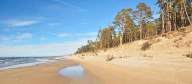 Güneşli bir yaz gününde, Letonya 'nın Baltık Denizi kıyısında. Kum tepeleri ve eski çam ağaçları. Idyllic deniz manzarası. Tatiller, seyahat noktaları, iklim değişikliği ve küresel ısınma kavramları