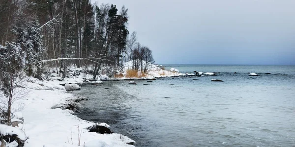 Neve Coberto Lago Costa Floresta Depois Uma Nevasca Lapónia Finlândia — Fotografia de Stock