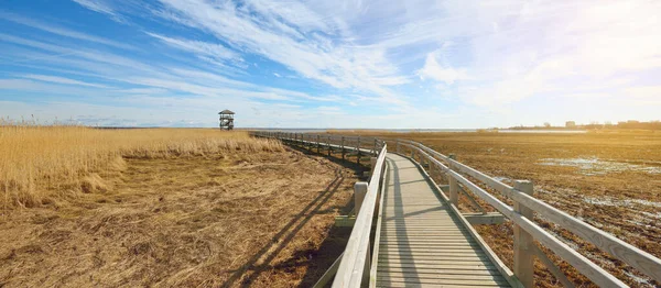 Hollanda 'nın güneşli bir bahar gününde, göldeki kuş izleme kulesine giden ahşap bir patika. Sığ su. Açık mavi gökyüzü ve sirrus bulutları. Çevre koruma teması