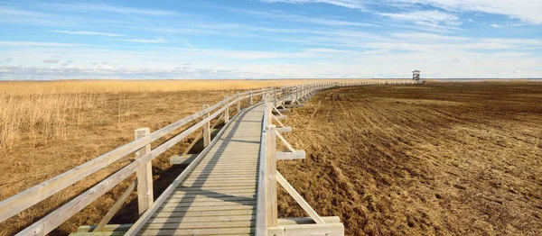 Hollanda 'nın güneşli bir bahar gününde, göldeki kuş izleme kulesine giden ahşap bir patika. Sığ su. Açık mavi gökyüzü ve sirrus bulutları. Çevre koruma teması