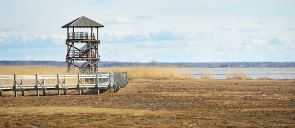 Camino Madera Torre Observación Aves Lago Soleado Día Primavera Países —  Fotos de Stock