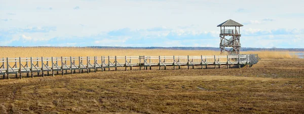 Sentier Bois Menant Tour Observation Des Oiseaux Sur Lac Par — Photo