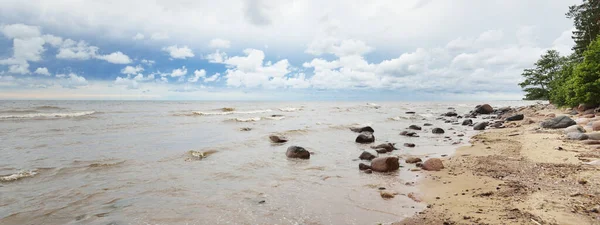 Panoramautsikt Över Den Steniga Östersjön Stranden Tallskog Sommar Rigabukten Lettland — Stockfoto