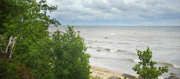 Panoramic Aerial View Rocky Baltic Sea Shore Pine Forest Summer — Zdjęcie stockowe