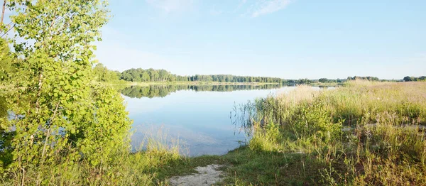 Vue Panoramique Sur Lac Dans Une Forêt Bouleaux Verts Plage — Photo