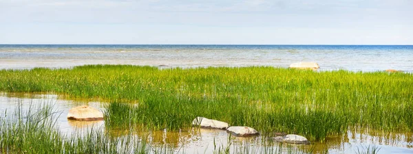 Güneşli Bir Günde Baltık Denizi Nin Kayalık Kıyıları Taşlar Yakın — Stok fotoğraf