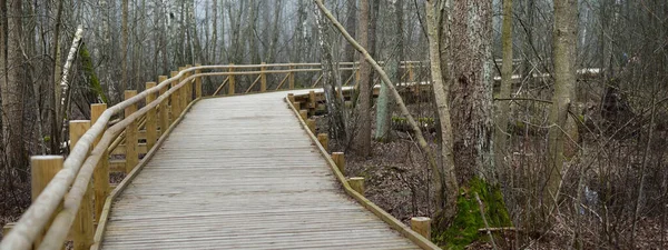 在晨雾中穿过湿地的现代木径 拉脱维亚早春 田园诗般的乡村风景 北欧步行 生态旅游 环境保护概念 — 图库照片
