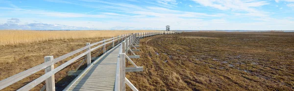 Sentier Bois Menant Tour Observation Des Oiseaux Sur Lac Par — Photo