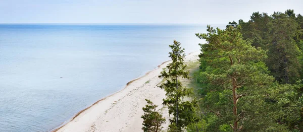 Flygfoto Över Den Sandiga Östersjön Stranden Och Gröna Blandade Barrskog — Stockfoto