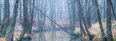 Forest river in a thick white fog. Winter. early spring. Dark atmospheric landscape