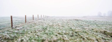 Kalın beyaz bir sis içinde tarlanın içinden geçen bir yol. Hoarfrost, ilk kar. Kırsal alanda koruma altında. Resimli panoramik manzara. Sonbahar, kışın başlangıcı. Saf doğa, çevresel koruma, ekoloji