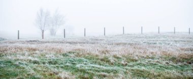 Kalın beyaz bir sis içinde tarlanın içinden geçen bir yol. Hoarfrost, ilk kar. Kırsal alanda koruma altında. Resimli panoramik manzara. Sonbahar, kışın başlangıcı. Saf doğa, çevresel koruma, ekoloji