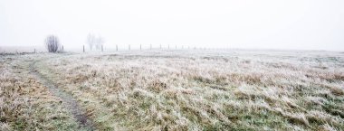 Kalın beyaz bir sis içinde tarlanın içinden geçen bir yol. Hoarfrost, ilk kar. Kırsal alanda koruma altında. Resimli panoramik manzara. Sonbahar, kışın başlangıcı. Saf doğa, çevresel koruma, ekoloji