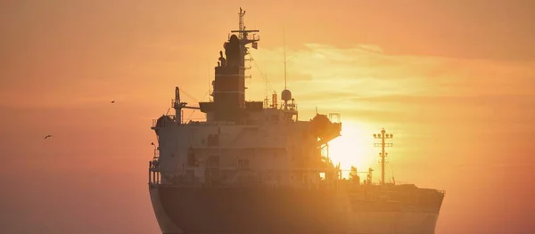 Large Cargo Ship Sailing Baltic Sea Sunset Soft Golden Sunlight — Stock Photo, Image