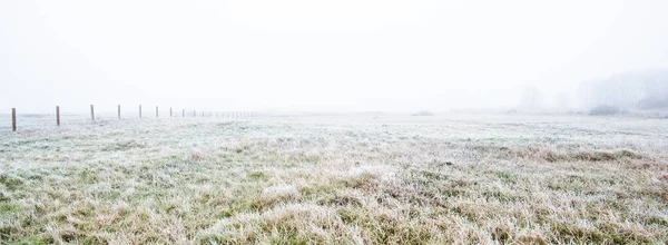 Περπάτημα Μέσα Από Πεδίο Μια Παχιά Λευκή Ομίχλη Πάγος Πρώτο — Φωτογραφία Αρχείου