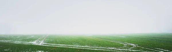 Campo Agrícola Rural Verde Sob Céu Sombrio Uma Névoa Espessa — Fotografia de Stock