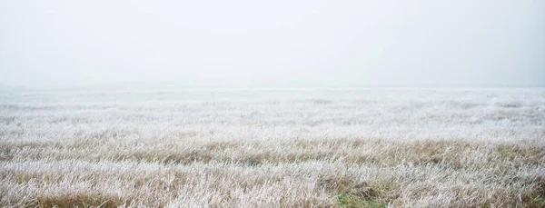 Caminho Através Campo Num Denso Nevoeiro Branco Hoarfrost Primeira Neve — Fotografia de Stock