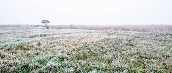 Parcours Travers Champ Dans Épais Brouillard Blanc Froid Première Neige — Photo