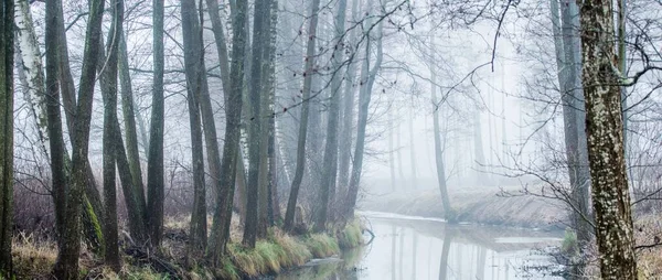 Forest River Thick White Fog Winter Early Spring Dark Atmospheric — Stockfoto