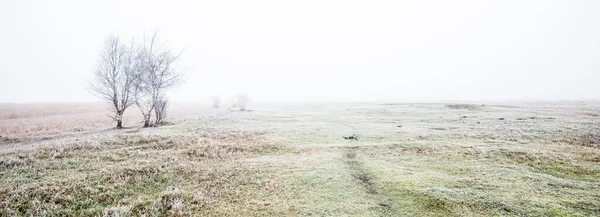 Caminho Através Campo Num Denso Nevoeiro Branco Hoarfrost Primeira Neve — Fotografia de Stock