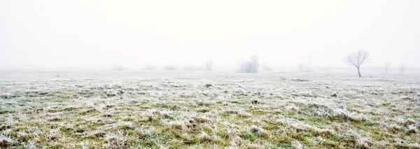 Pathway Field Thick White Fog Hoarfrost First Snow Protected Rural — Stock Photo, Image