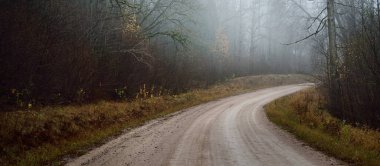 Karanlık Evergreen Ormanı 'nda dolambaçlı kırsal yol (patika, yürüyüş yolu). Güçlü ağaçlar, sis. Atmosferik sonbahar manzarası. Hayalet, yalnızlık, sessizlik, gotik, gizemli kavramlar.