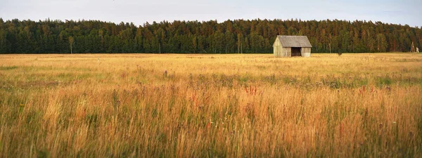 Jordbruksgrödor Gammalt Skjul Traditionellt Hus Lager Skog Bakgrunden Mjukt Gyllene — Stockfoto