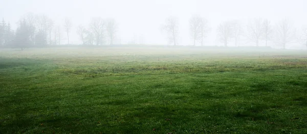 Osamělé Stromy Oraném Poli Husté Bílé Ranní Mlze Atmosférická Krajina — Stock fotografie