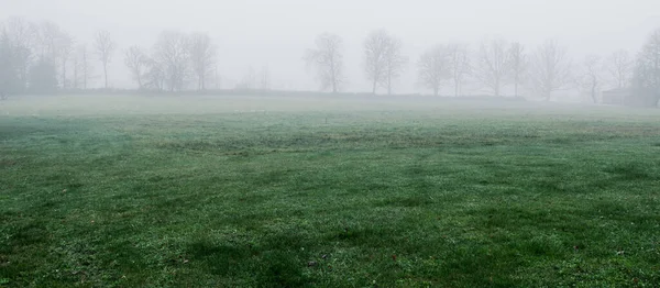 Μοναχικά Δέντρα Οργωμένο Χωράφι Πυκνή Άσπρη Πρωινή Ομίχλη Ατμοσφαιρικό Τοπίο — Φωτογραφία Αρχείου