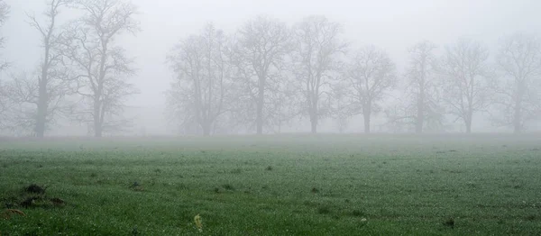 在一片白茫茫晨雾中 荒芜的农田上的树木 大气景观 田园诗般的乡村风景 Nature Environment Climate Change 全景视图 — 图库照片
