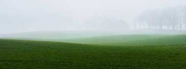 Yoğun beyaz bir sabah sisinin içinde tarlaya sürülmüş bir tarlada yalnız ağaçlar. Atmosferik manzara. Idyllic kırsal kesim. Sonbahar. Doğa, çevre, iklim değişikliği. Panoramik görünüm