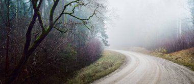 Karanlık Evergreen Ormanı 'nda dolambaçlı kırsal yol (patika, yürüyüş yolu). Güçlü ağaçlar, sis. Atmosferik sonbahar manzarası. Hayalet, yalnızlık, sessizlik, gotik, gizemli kavramlar.