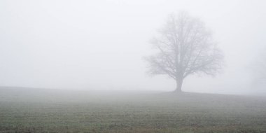 Yoğun beyaz bir sabah sisinde tarla sürdüm. Atmosferik manzara. Idyllic kırsal kesim. Sonbahar. Doğa, çevre, iklim değişikliği. Panoramik manzara. Monokrom manzarası