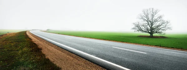 Empty Highway New Asphalt Road Field Forest Fog Rainy Day — Stock Photo, Image