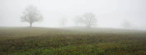 Geploegd Landbouwveld Een Dikke Witte Ochtendmist Sfeervol Landschap Idyllische Landelijke — Stockfoto